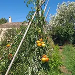 Finca Es Baladre